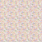 Zoom 2 84428