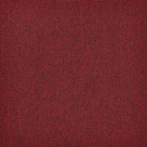 Zoom 1 81667