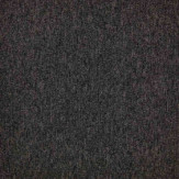 Zoom 1 81712