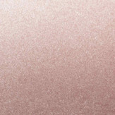 Zoom 2 82497