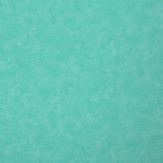 Zoom 1 71555 Zoom 1 71555