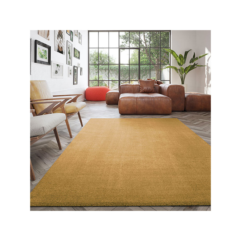 Ambiance 1 72550