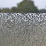 Zoom 1 75775 Zoom 1 75775