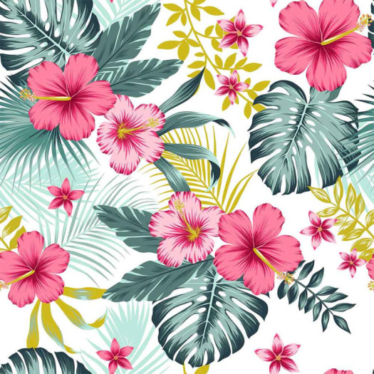 Zoom 1 79761 Zoom 1 79761