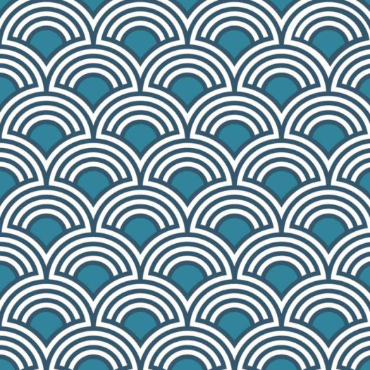 Zoom 1 81801 Zoom 1 81801