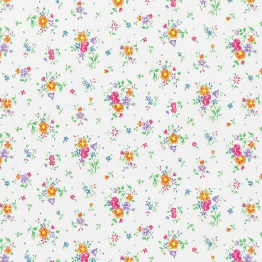 Zoom 2 82429 Zoom 2 82429