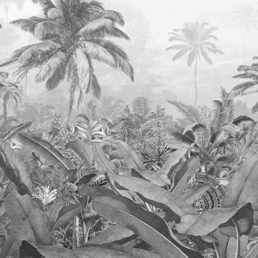 Zoom 1 84277 Zoom 1 84277