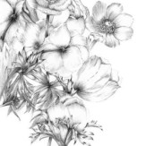 Zoom 1 84287 Zoom 1 84287