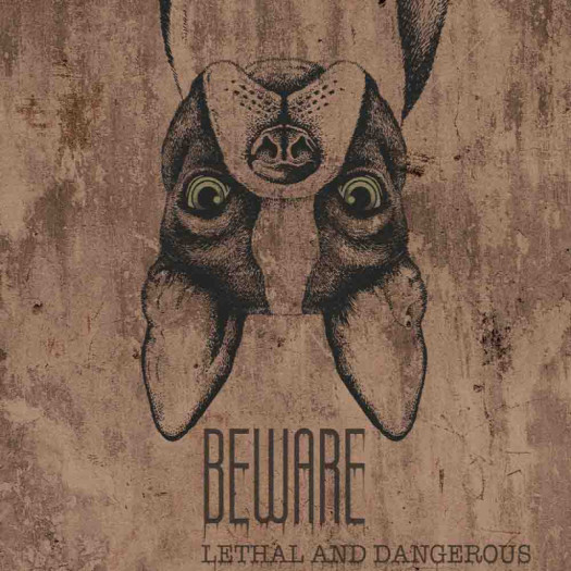 Zoom 1 84303 Zoom 1 84303