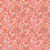 Zoom 1 84429 Zoom 1 84429