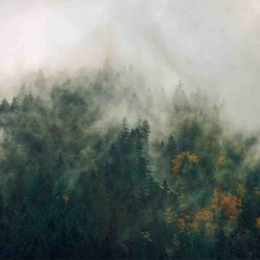 Zoom 1 84836 Zoom 1 84836