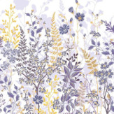 Zoom 1 84856 Zoom 1 84856