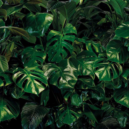 Zoom 1 84859 Zoom 1 84859