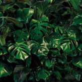 Zoom 1 84859 Zoom 1 84859