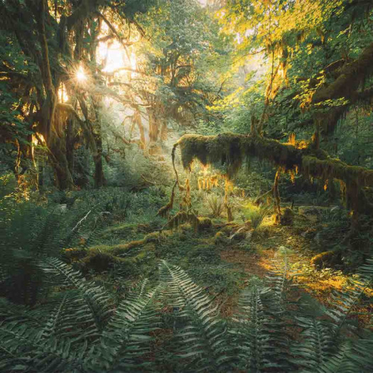 Zoom 1 84863 Zoom 1 84863