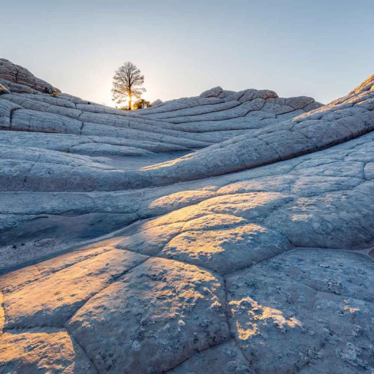 Zoom 1 84864 Zoom 1 84864