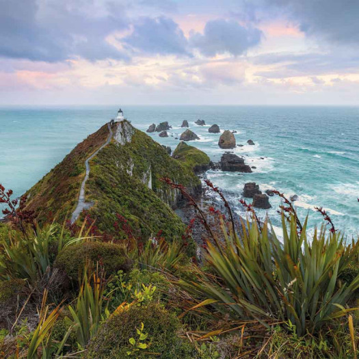 Zoom 1 84869 Zoom 1 84869