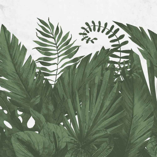 Zoom 1 84871 Zoom 1 84871