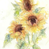 Zoom 1 85078 Zoom 1 85078