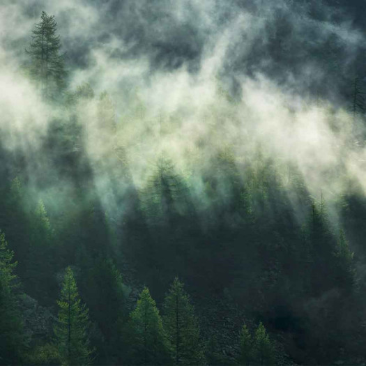 Zoom 1 85103 Zoom 1 85103