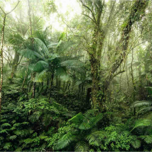 Zoom 1 85107 Zoom 1 85107