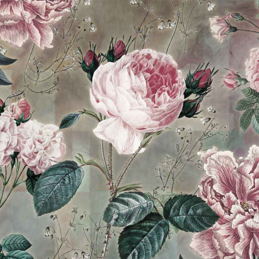 Zoom 1 85123 Zoom 1 85123