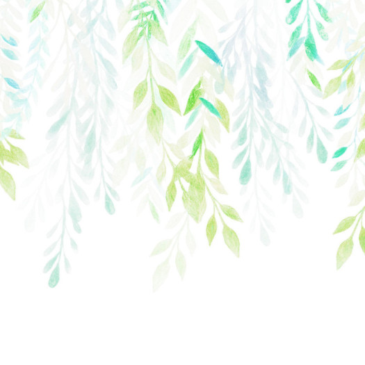 Zoom 1 85133 Zoom 1 85133