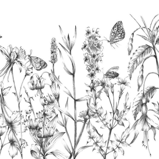 Zoom 1 85138 Zoom 1 85138