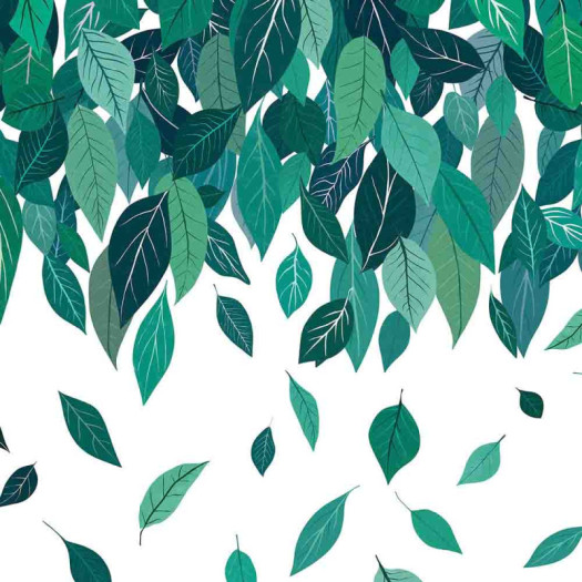 Zoom 1 85329 Zoom 1 85329