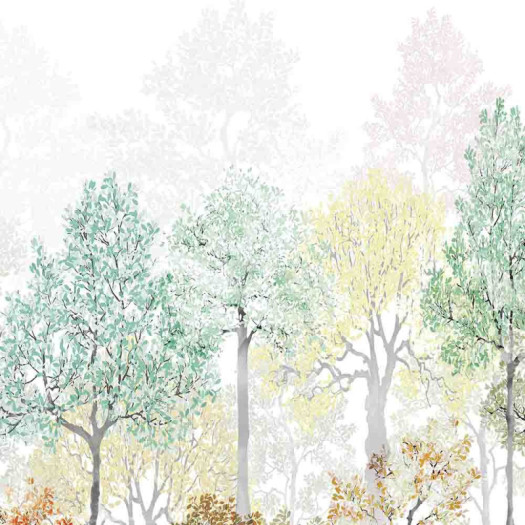 Zoom 1 85331 Zoom 1 85331