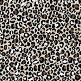 Zoom 1 85406 Zoom 1 85406