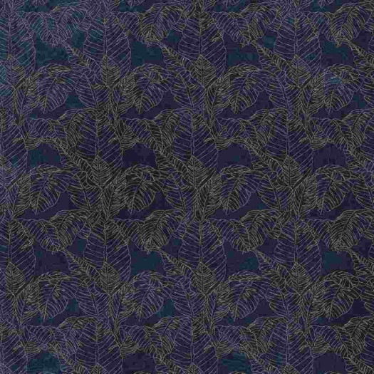 Zoom 1 85855 Zoom 1 85855