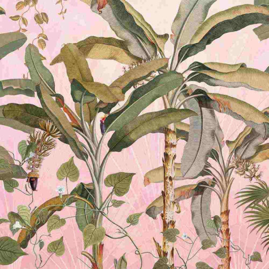 Zoom 1 85895 Zoom 1 85895