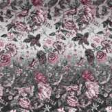 Zoom 1 85904 Zoom 1 85904