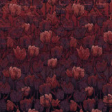 Zoom 1 85910 Zoom 1 85910