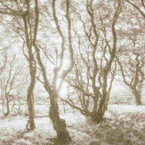 Zoom 1 85922 Zoom 1 85922