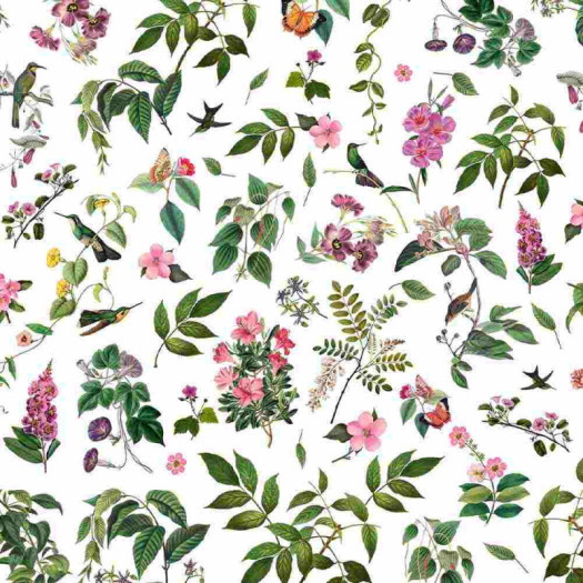 Zoom 1 85945 Zoom 1 85945