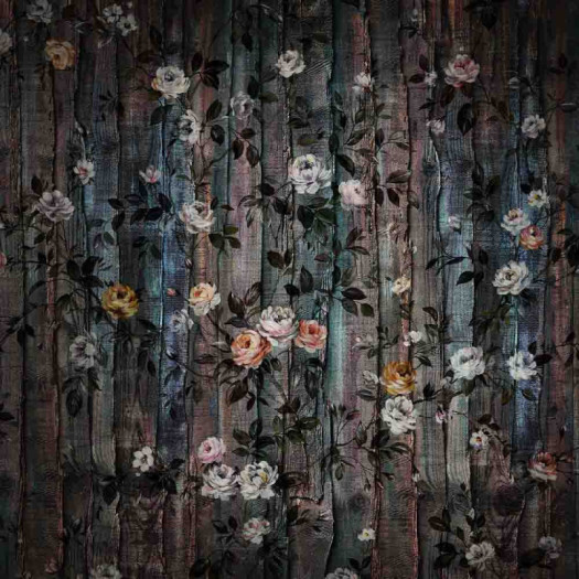 Zoom 1 85969 Zoom 1 85969