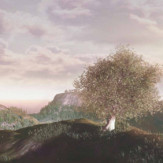 Zoom 1 85985 Zoom 1 85985