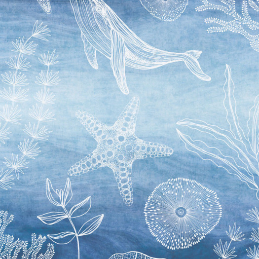 Zoom 1 88181 Zoom 1 88181