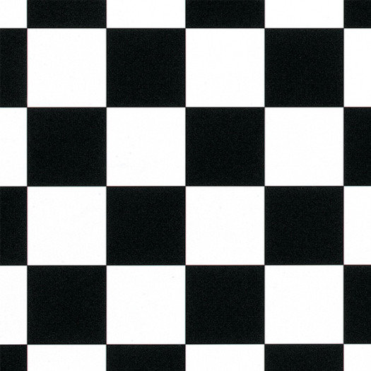 Zoom 1 79503 Zoom 1 79503