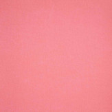 Zoom 1 81281 Zoom 1 81281