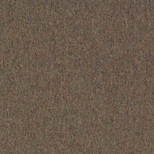 Zoom 1 81641 Zoom 1 81641