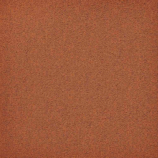 Zoom 1 81695 Zoom 1 81695