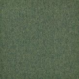 Zoom 1 81702 Zoom 1 81702