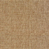 Zoom 1 83342 Zoom 1 83342