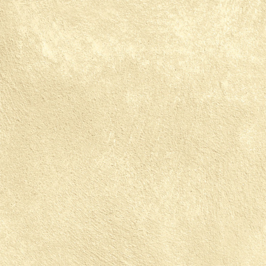 Zoom 1 87591