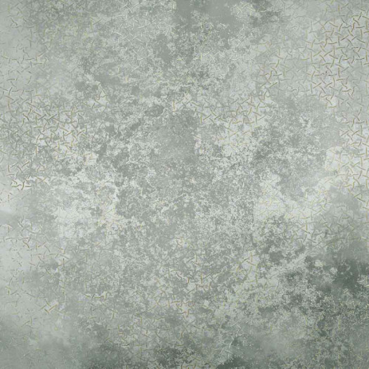 Zoom 1 86007 Zoom 1 86007