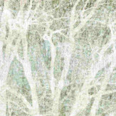 Zoom 1 86020 Zoom 1 86020