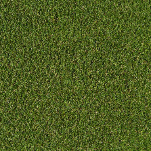 Zoom 1 82034 Zoom 1 82034